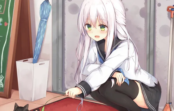 Girl, kitty, Kantai Collection, Naval collection