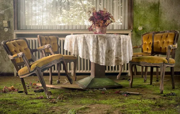 Wallpaper table, room, chair