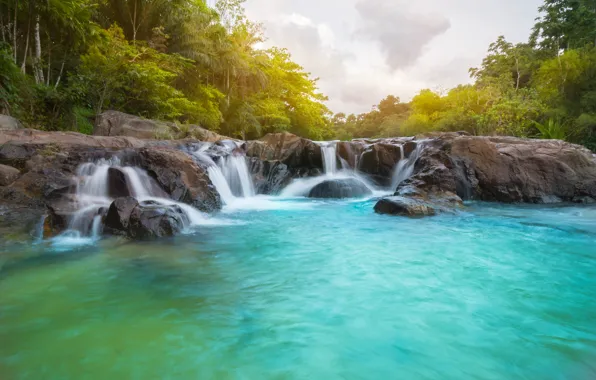 Forest, landscape, river, rocks, waterfall, summer, forest, tropical