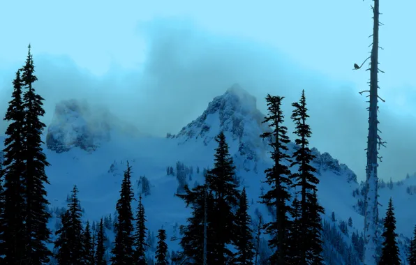 Winter, snow, trees, mountains, nature, rocks, USA, USA