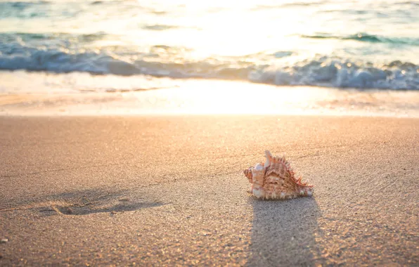 Sand, sea, wave, beach, light, nature, mood, relax
