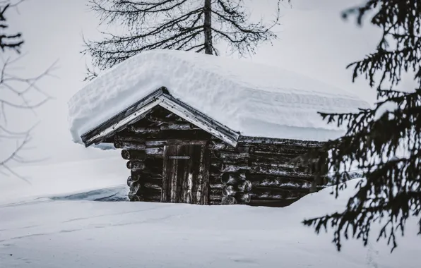 Picture winter, snow, nature, the snow, house, hut