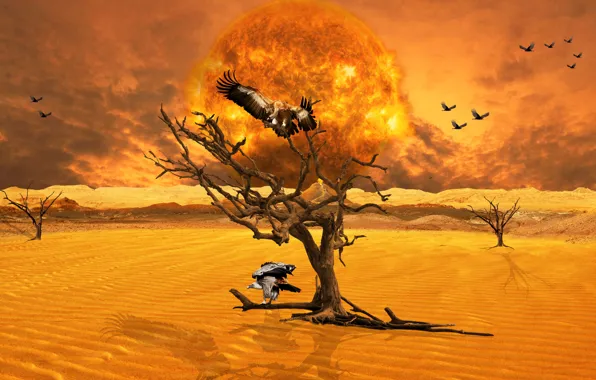 Sand, the sun, flight, birds, branches, rendering, fantasy, tree