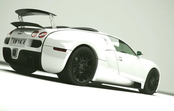 Veyron, bugatti, black blanc3