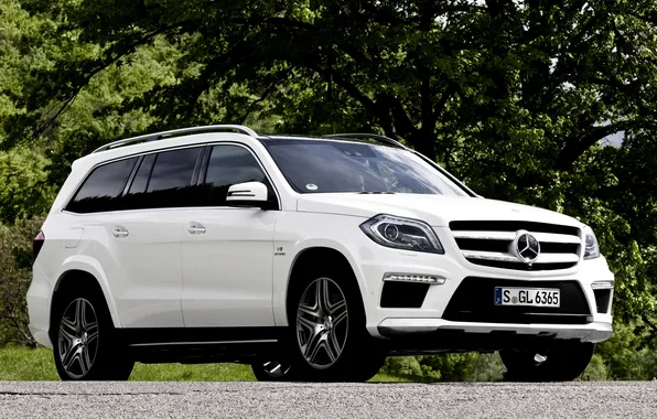 White, trees, background, Mercedes-Benz, Mercedes, jeep, AMG, the front