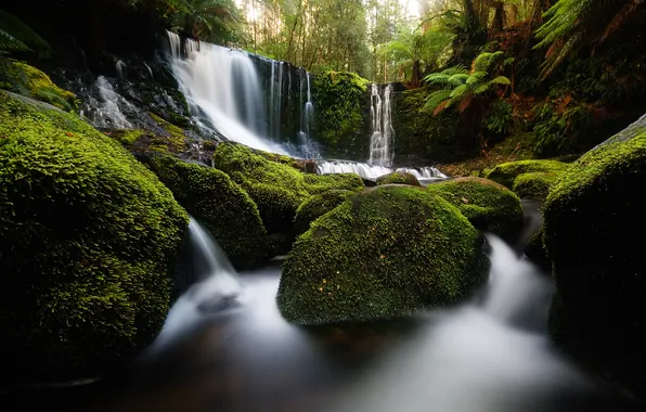 Picture nature, stones, waterfall, moss, Australia, Tasmania, Horseshoe Falls, Mount Field national park