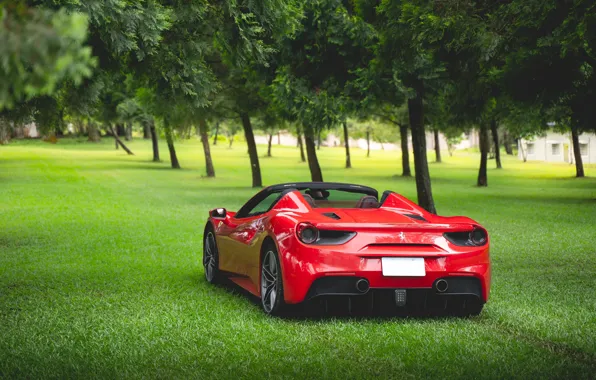 Grass, trees, red, sports car, rear view, Ferrari 488 Spider