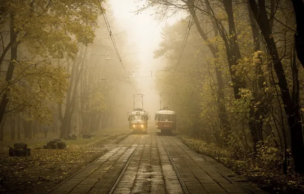 Picture the city, street, tram