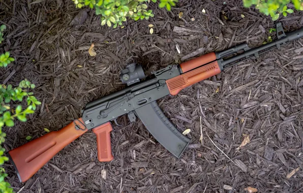 Weapons, gun, weapon, custom, Kalashnikov, assault rifle, assault Rifle, AK 74