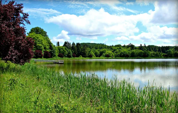 Picture the sky, grass, clouds, trees, lake