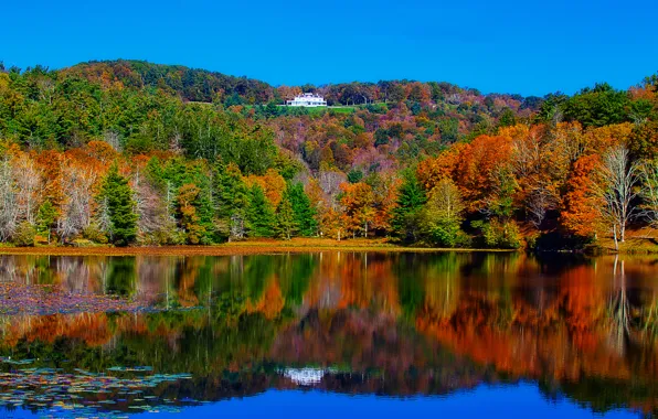 Autumn, forest, trees, landscape, lake, house, reflection, river