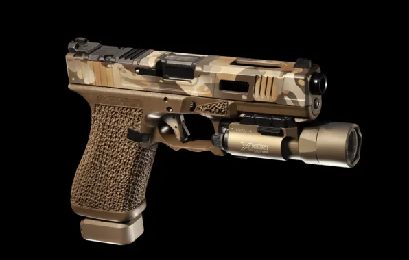 Gun, flashlight, G19