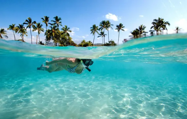 Picture girl, palm trees, the ocean, sport, island, under water, Hawaii, snorkelling