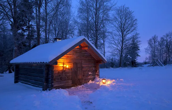 Winter, forest, light, snow, trees, night, house, lantern