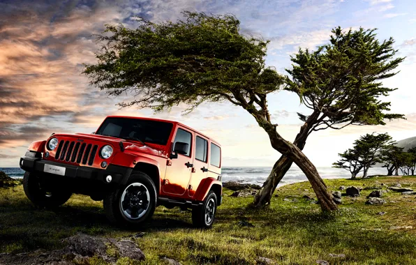 Jeep, Wrangler, Jeep, Unlimited, 2015, EU-spec