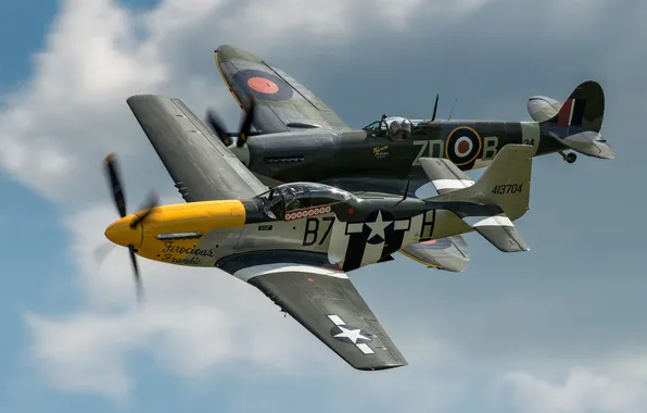 Picture Mustang, fighters, P-51, Spitfire, Mk XVI