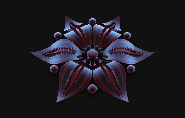 Flower, black background, 3D graphics