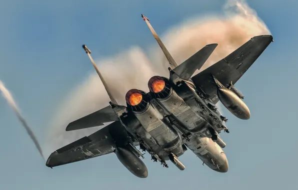 Picture Douglas, McDonnell, American, F-15E, Strike Eagle, fighter bomber, two-seat