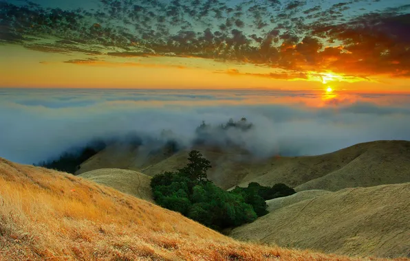 The sky, clouds, trees, sunset, mountains, fog