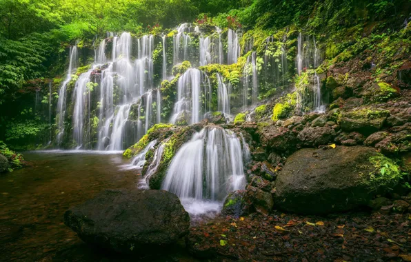 Forest, river, stones, waterfall, Bali, Indonesia, cascade, Bali