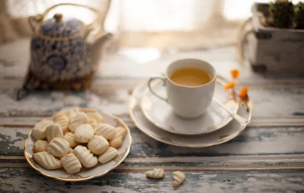 Picture coffee, still life, window, cookies, biscuits