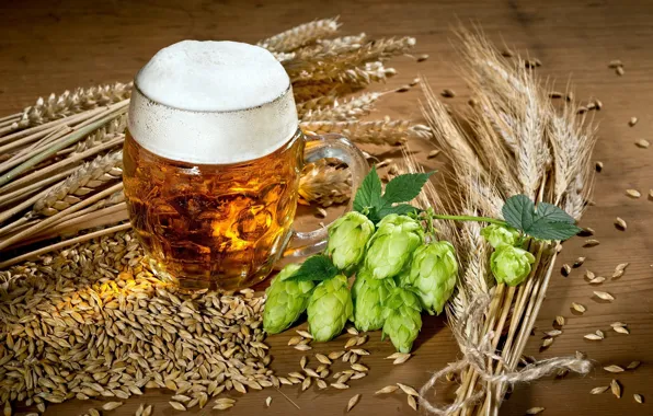 Grain, beer, ears, drink, hops