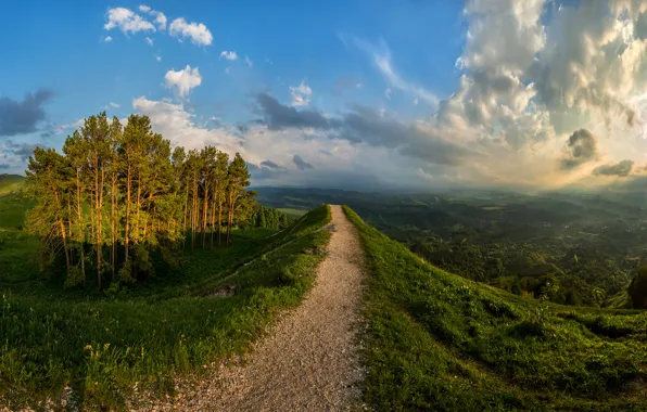 Picture hills, landscape, path, pine