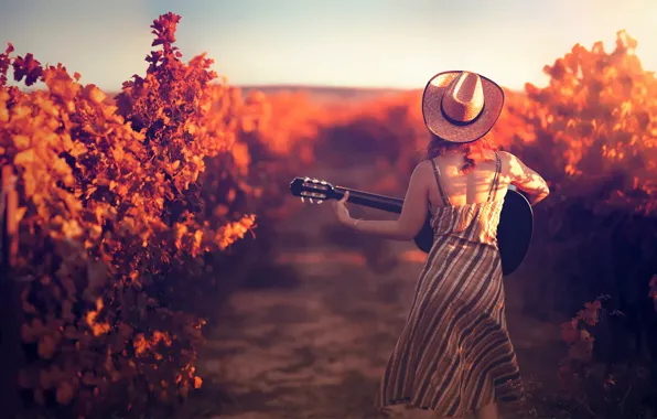 Girl, guitar, hat, vineyard