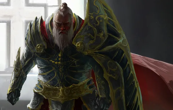 Fiction, art, male, armor, cloak, paladin