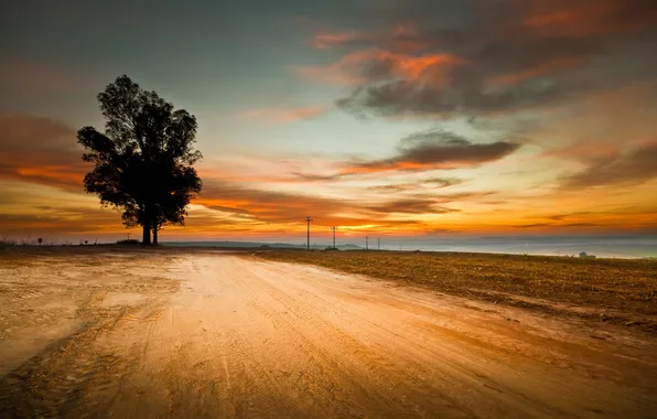 Road, the sky, trees