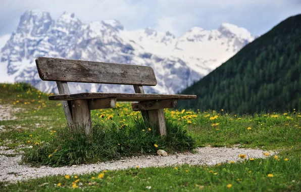 Mountains, nature, bench