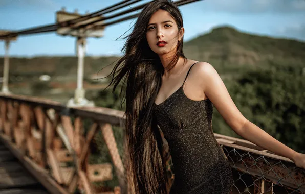 Picture look, girl, bridge, pose, hair, dress, brunette, beautiful