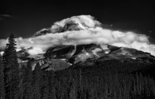 Picture forest, clouds, snow, mountains, nature, tops, black and white photo