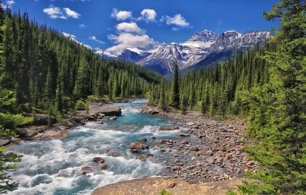 Forest, mountains, river, Canada, Albert, Banff National Park, Alberta, Canada