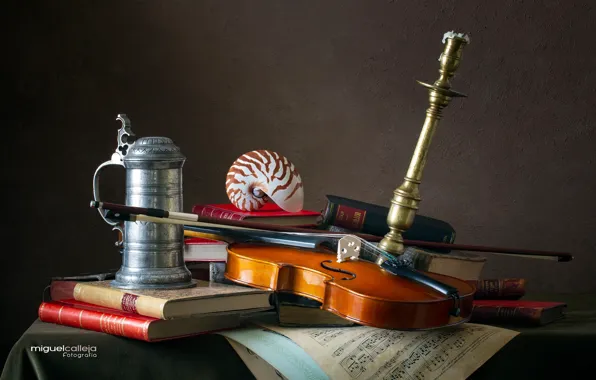 Notes, violin, books, shell, mug, still life, candle holder