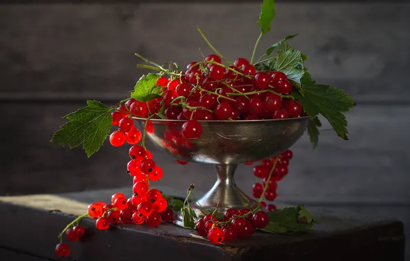 Picture red, light, vase, leaves, berries, Board, still life, currants