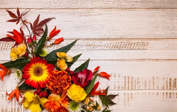 Autumn, leaves, flowers, wood, flowers, autumn, leaves, composition