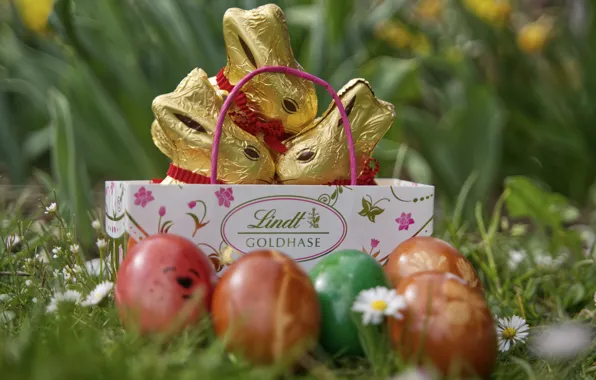 Grass, flowers, holiday, gift, glade, chamomile, eggs, spring