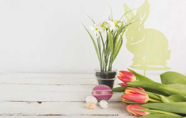 Rabbit, Tulips, Easter, Eggs, Holiday, Daffodils