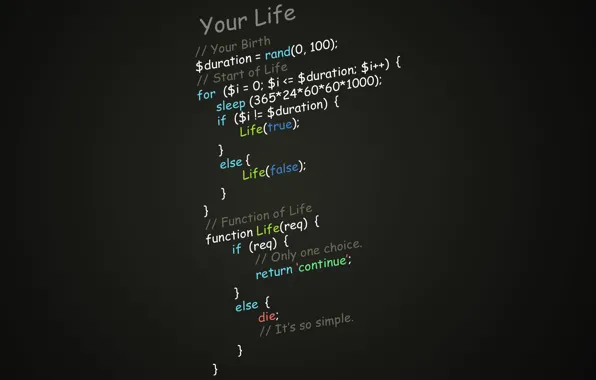 Download wallpaper programming, function of life, script, section