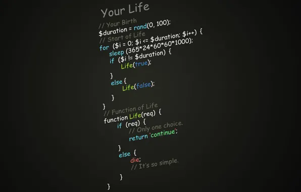Programming, function of life, script