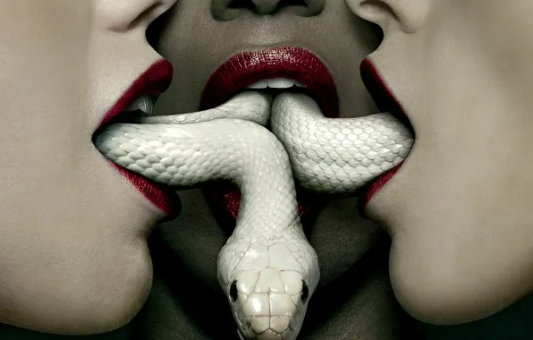 The series, American Horror Story, The third season, American horror story