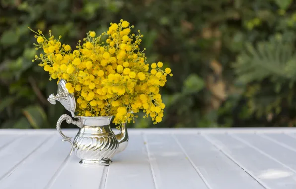 Flowers, bouquet, yellow, kettle, Mimosa