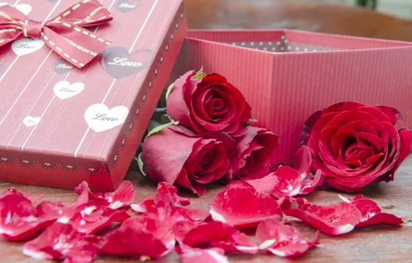 Flowers, gift, roses, pink, flowers, romantic, gift, roses