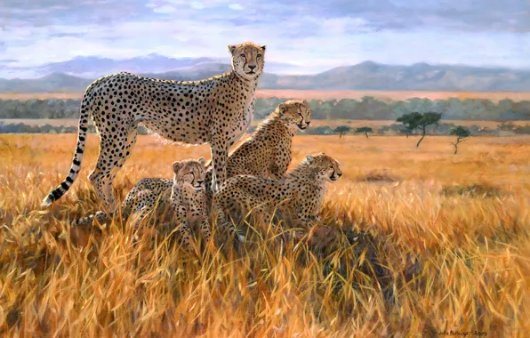 Field, figure, picture, art, Cheetah, Savannah, painting, cubs