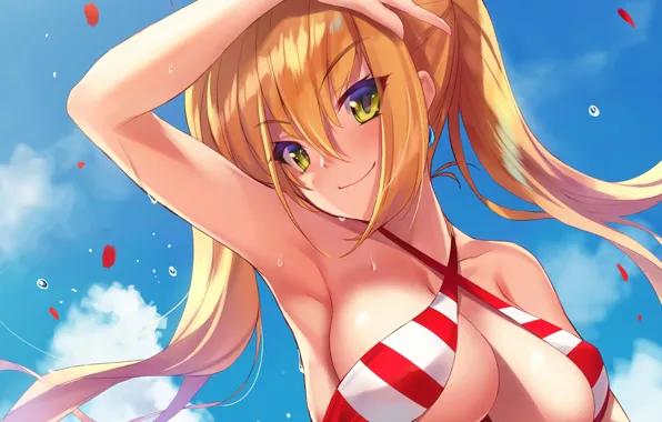 Wallpaper handsome, breasts, long hair, Fate Series, anime, attractive, boobs, girl