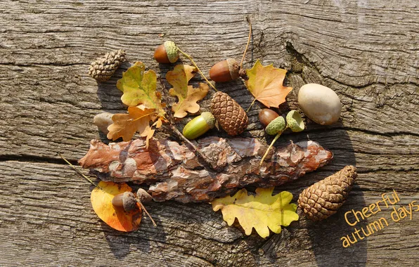 Picture autumn, leaves, bark, bump, acorn, fun fall days, cheerful autumn days