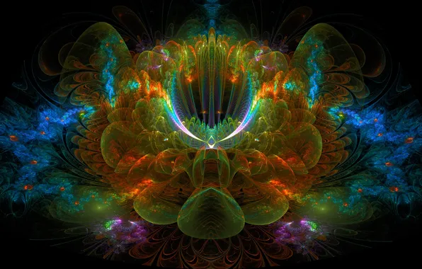 Flower, rays, line, fractal, the volume, symmetry