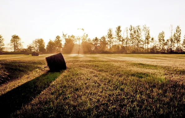 Picture field, trees, sunset, shadow, stack, hay, the rays of the sun