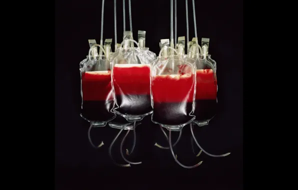 Picture blood bags, blood transfusion, blood donation